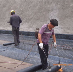 膠南專業防水服務全解析 從公司電話、廠家到工程價格與施工